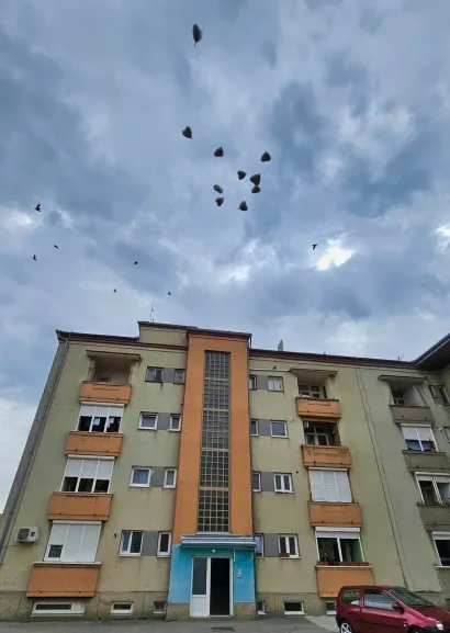 Kada su baloni poletjeli, u nebo su se istovremeno vinuli i golubovi/Foto: Nikica Puhalo/MojPortal.hr
