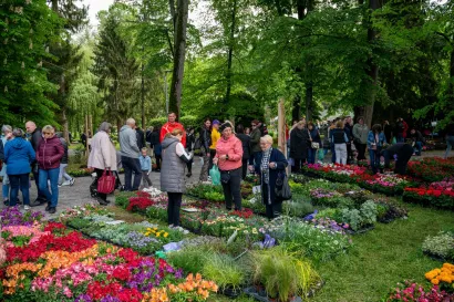 Foto: Predrag Uskoković/Grad Daruvar