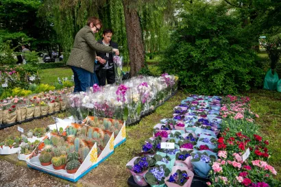 Foto: Predrag Uskoković/Grad Daruvar