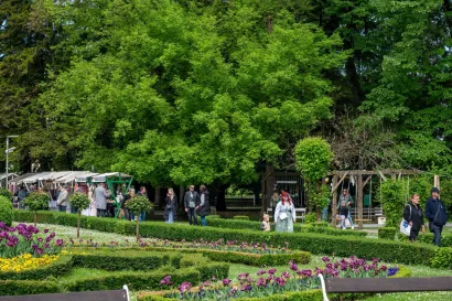 Foto: Predrag Uskoković/Grad Daruvar