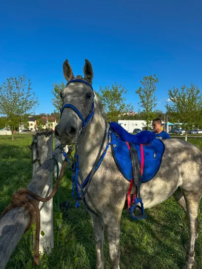 Foto: KK Hrvatski sokol Daruvar