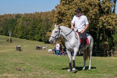 Deni Bagara kaže kako u Ilovski Klokočevac stižu brojni konjari/Foto: Dejan Adžić