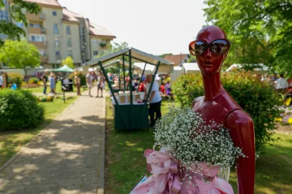 Foto: Zoom Garešnica