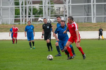 Foto: Predrag Uskoković/Grad Daruvar