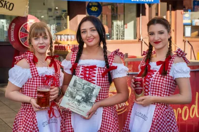 Foto: Predrag Uskoković/Grad Daruvar