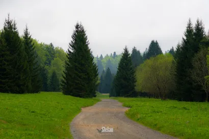 Foto: Štefan Brajković
