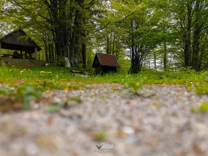 Foto: Štefan Brajković