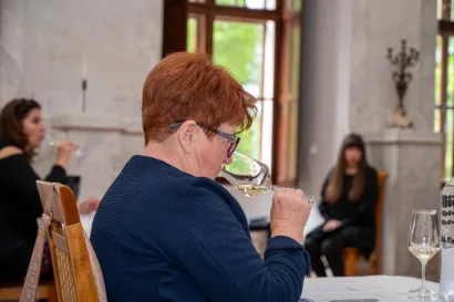 Foto: Predrag Uskoković/Grad Daruvar