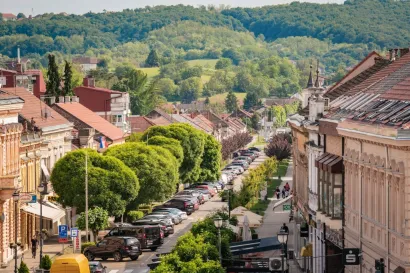 Daruvar snimljen iz kabine panoramskog kotača/Foto: Igor Horvat