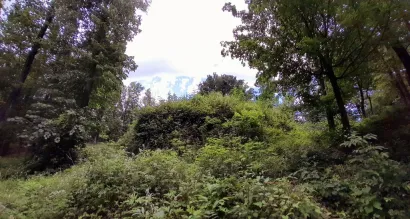Pogleda na ostatke starog Bršjanac grada/Foto: Udruga Lipa Garešnica