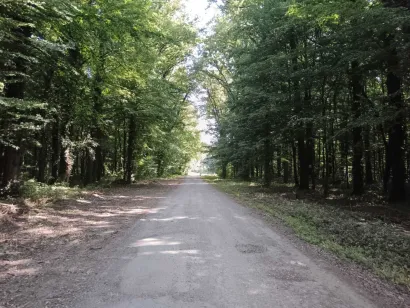 Cesta će biti proširena/Foto: Slavica Trgovac Martan