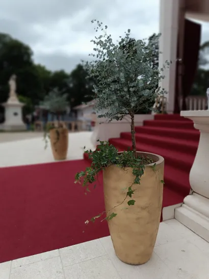 Foto: Komunalac Bjelovar