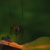 Foto: Unsplash
