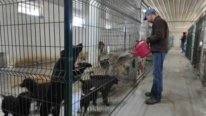 O psima brine četiri djelatnika - doktorica, dvoje tehničara i jedan radnik iz Severina/Foto: Martina Čapo