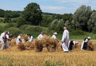 Prikaz žetve mnoge je vratio u djetinjstvo i mladost/Foto: Krugoval Garešnica