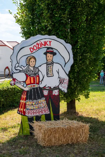 Foto: Predrag Uskoković/Grad Daruvar