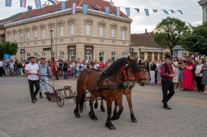 Foto: Predrag Uskoković/Grad Daruvar