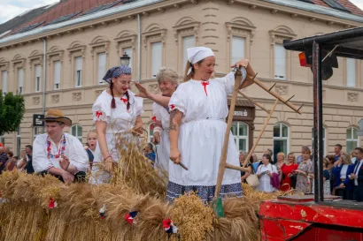 Foto: Predrag Uskoković/Grad Daruvar
