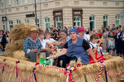 Foto: Predrag Uskoković/Grad Daruvar