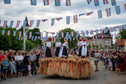 Foto: Predrag Uskoković/Grad Daruvar