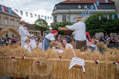 Foto: Predrag Uskoković/Grad Daruvar
