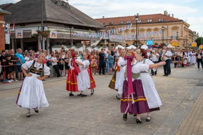 Foto: Predrag Uskoković/Grad Daruvar