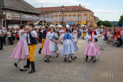 Foto: Predrag Uskoković/Grad Daruvar