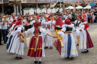 Foto: Predrag Uskoković/Grad Daruvar