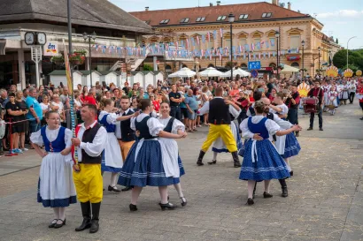Foto: Predrag Uskoković/Grad Daruvar