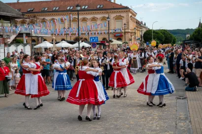 Foto: Predrag Uskoković/Grad Daruvar