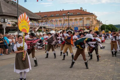 Foto: Predrag Uskoković/Grad Daruvar
