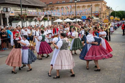 Foto: Predrag Uskoković/Grad Daruvar