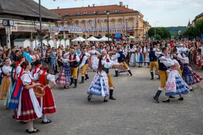 Foto: Predrag Uskoković/Grad Daruvar