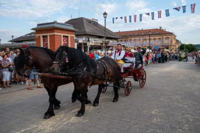 Foto: Predrag Uskoković/Grad Daruvar