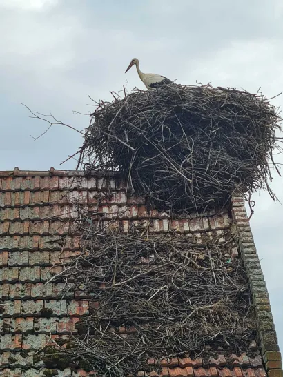 Rodama je i Siščanima super/Foto: Privatni album