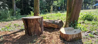 Nova mjesta za sjedenje već čekaju izletnike/Foto: HVIDRA Daruvar