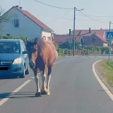 Foto: Čitatelj (ilustracija)