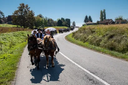 Foto: Dejan Adžić