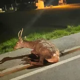 Foto: čitatelj