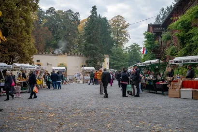 Foto: Predrag Uskoković/Grad Daruvar