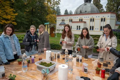 Foto: Predrag Uskoković/Grad Daruvar