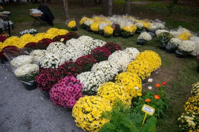 Foto: Predrag Uskoković/Grad Daruvar