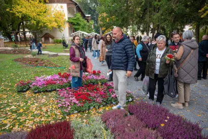 Foto: Predrag Uskoković/Grad Daruvar