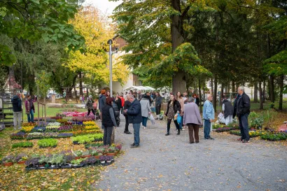 Foto: Predrag Uskoković/Grad Daruvar