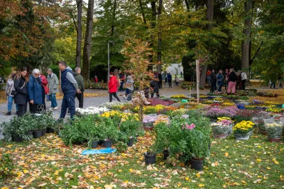 Foto: Predrag Uskoković/Grad Daruvar
