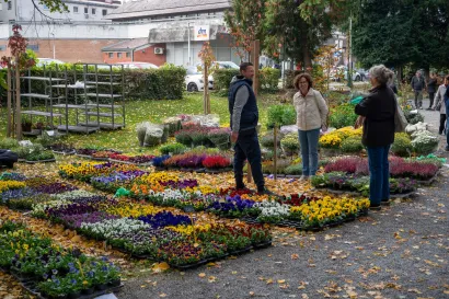 Foto: Predrag Uskoković/Grad Daruvar