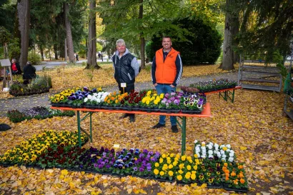 Foto: Predrag Uskoković/Grad Daruvar