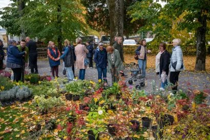 Foto: Predrag Uskoković/Grad Daruvar