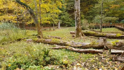 Foto: Udruga Lipa Garešnica