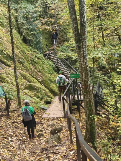 Foto: Udruga Lipa Garešnica